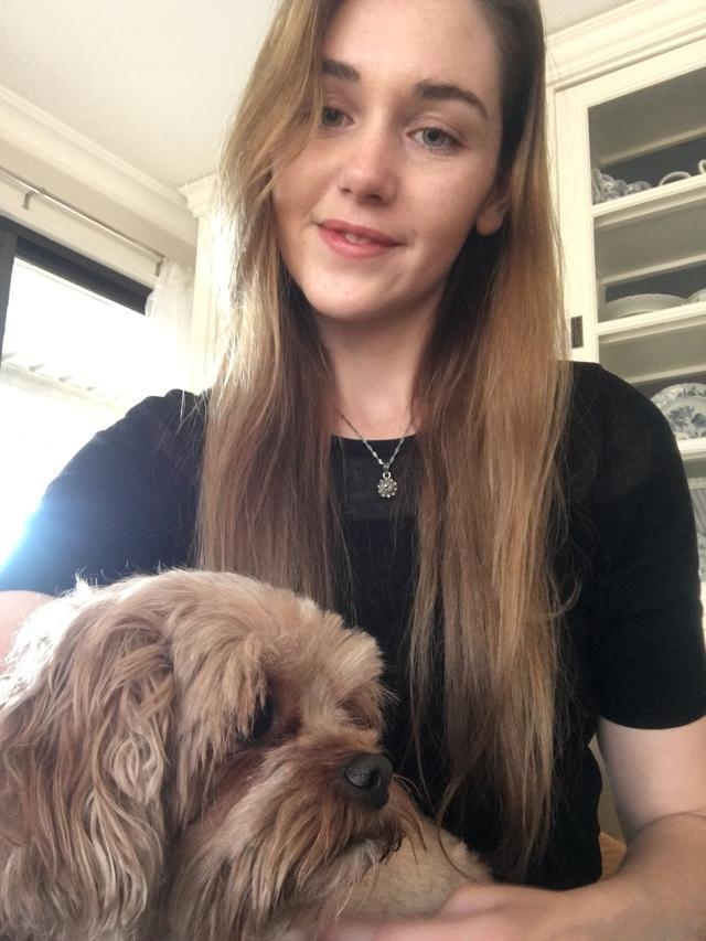 所谓别人家的公司 都是带着宠物去上班