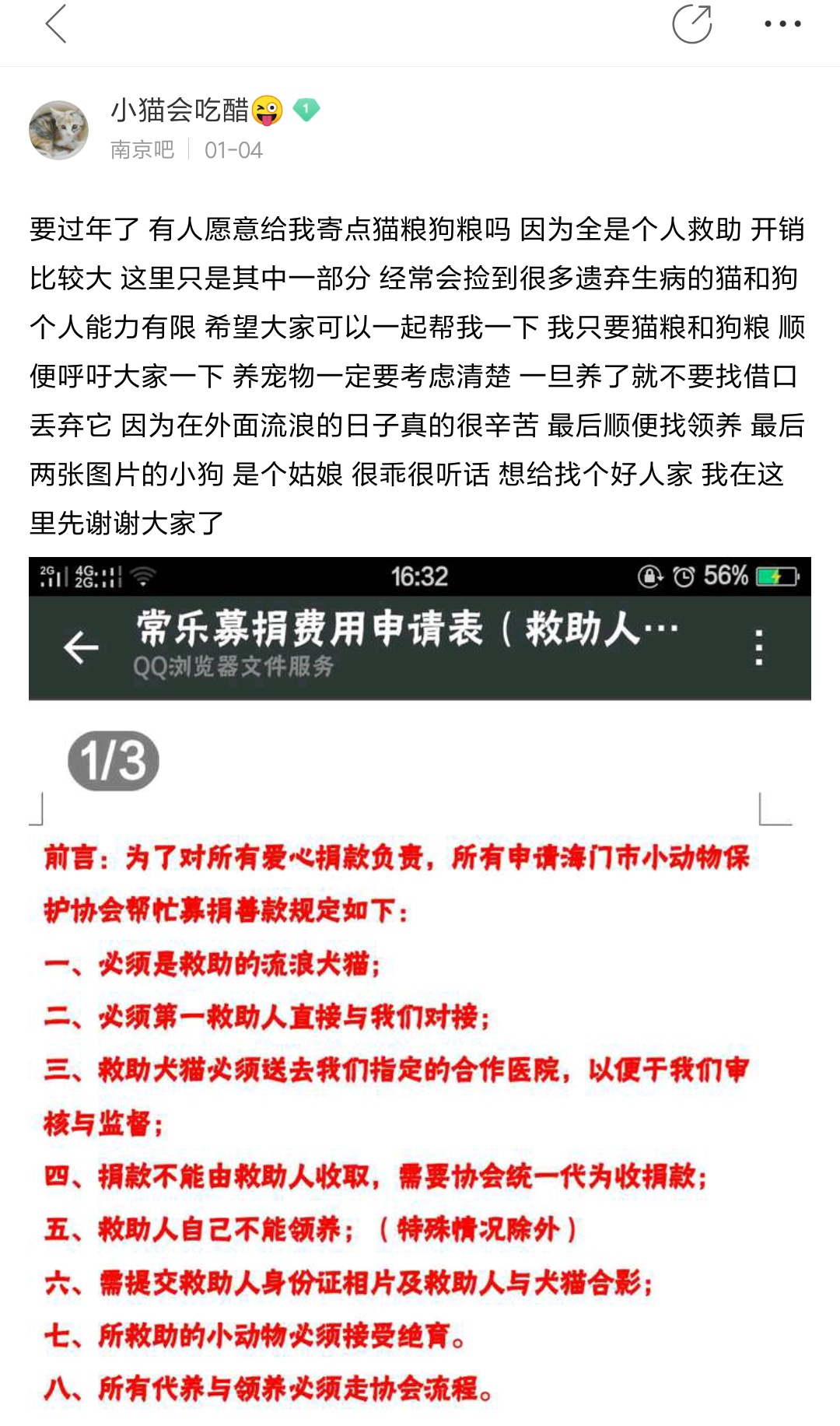 居民联手物业号召给流浪猫狗做绝育手术 不要再伤害无辜的小动物了