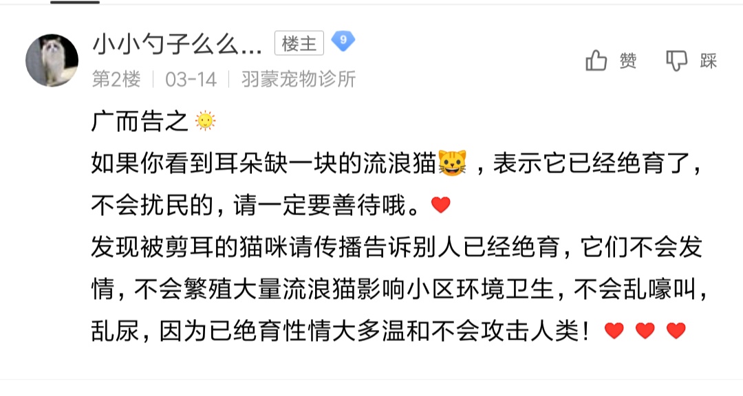 居民联手物业号召给流浪猫狗做绝育手术 不要再伤害无辜的小动物了