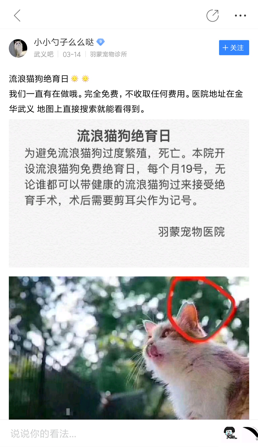 居民联手物业号召给流浪猫狗做绝育手术 不要再伤害无辜的小动物了