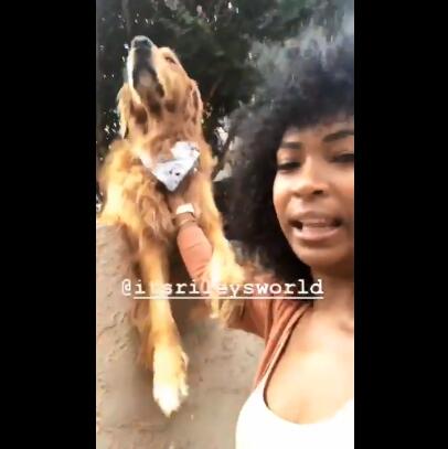 厚脸皮阿金为强迫路人和它玩耍 居然可以这么不要脸