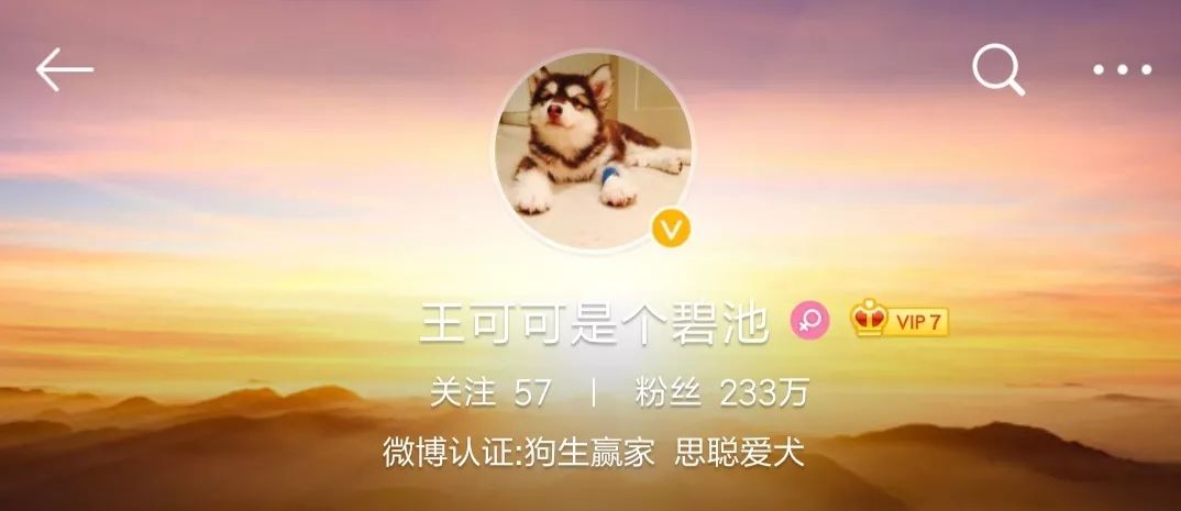 王思聪动物园再添新丁 最新入驻的猫咪一夜暴富