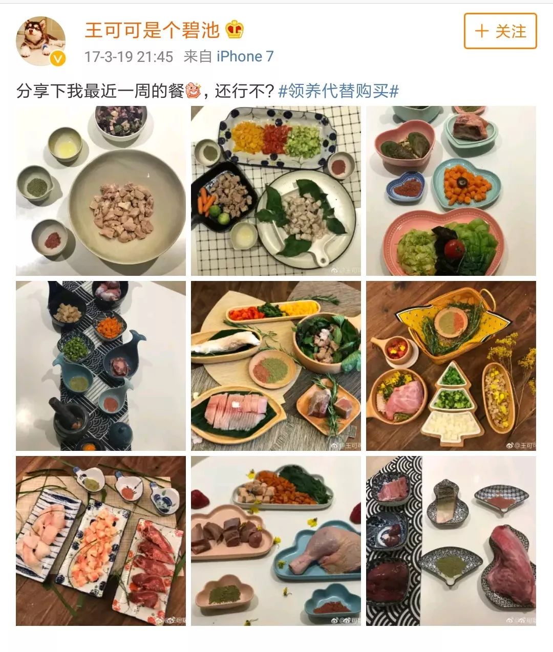 王思聪动物园再添新丁 最新入驻的猫咪一夜暴富