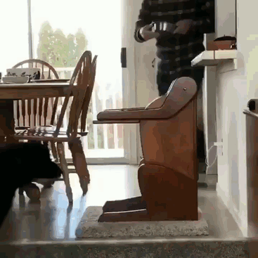 这只狗狗只能站着吃饭 知道实情的人都为它感到难过