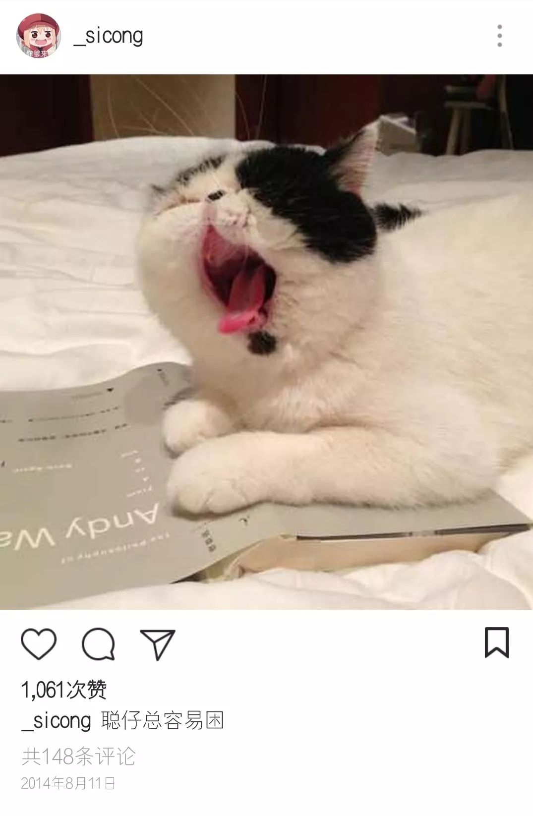 王思聪动物园再添新丁 最新入驻的猫咪一夜暴富