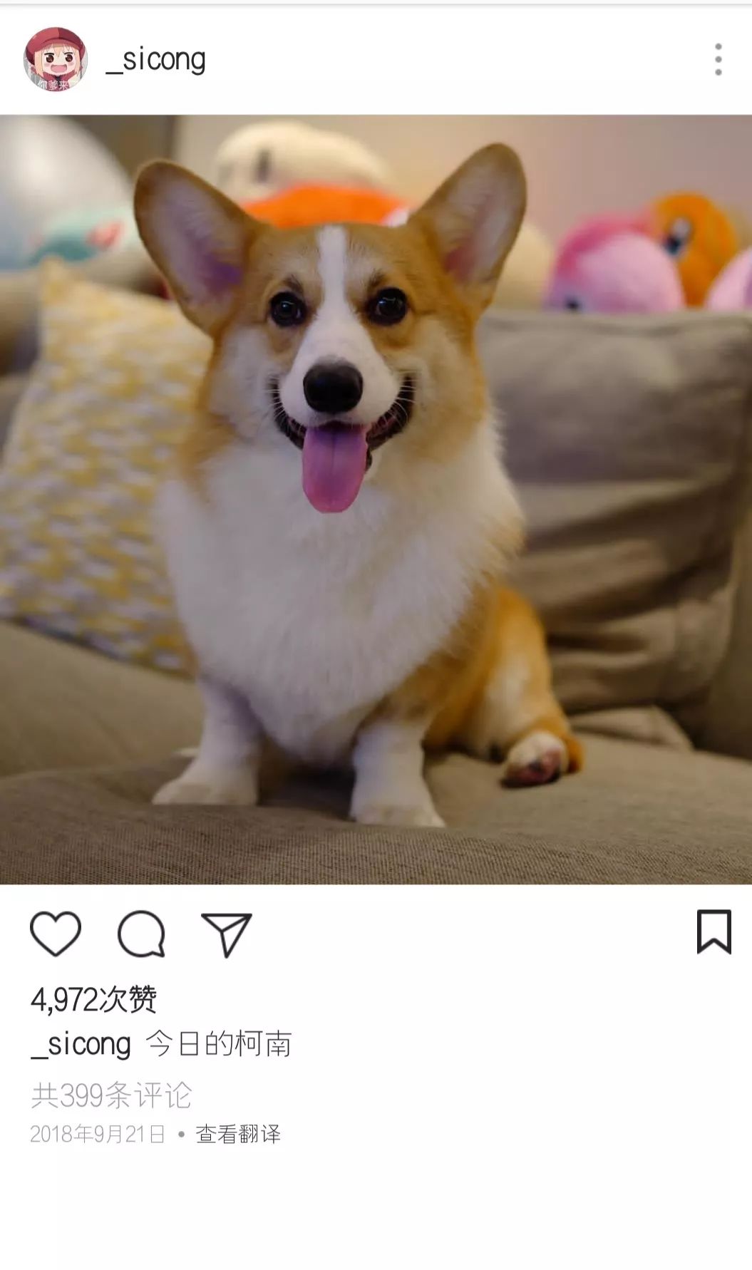 王思聪动物园再添新丁 最新入驻的猫咪一夜暴富