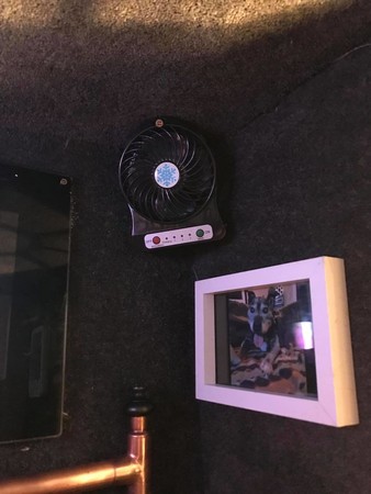 狗狗眯眼监工超豪华狗窝 完成照惊呆网友:有电视 比我房间还高级