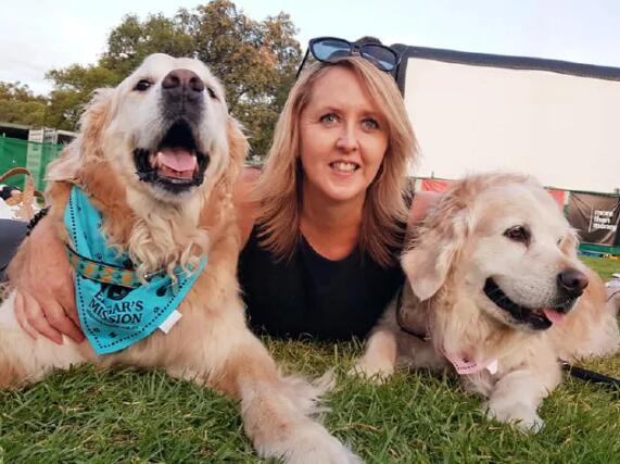 狗狗可以不吃肉成长？你见过素食主义者的汪吗？