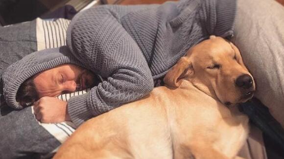 你有听过导盲犬吗？ 它们在成为导盲犬之前是怎样的生活的