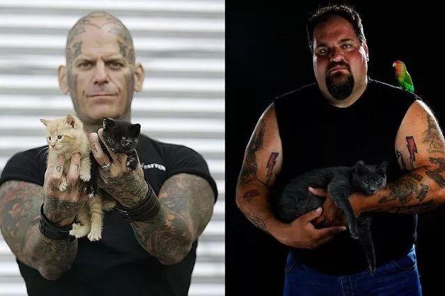 “无恶不作”的机车硬汉，竟然成了受虐宠物们的拯救使者？