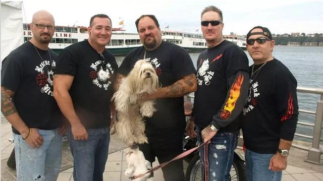 “无恶不作”的机车硬汉，竟然成了受虐宠物们的拯救使者？