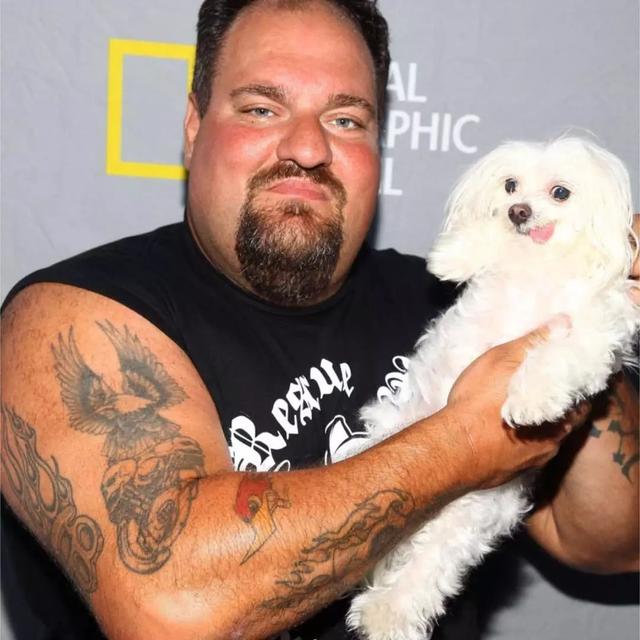 “无恶不作”的机车硬汉，竟然成了受虐宠物们的拯救使者？