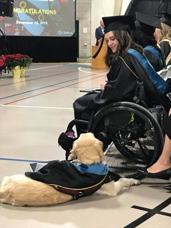 4岁忠心服务犬无私陪伴主人 克拉克森大学为它颁发荣誉证书