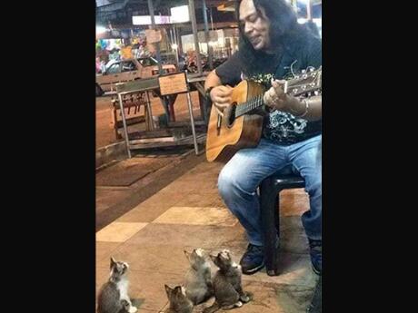 说出来你可能不相信 原来喵星人也听音乐