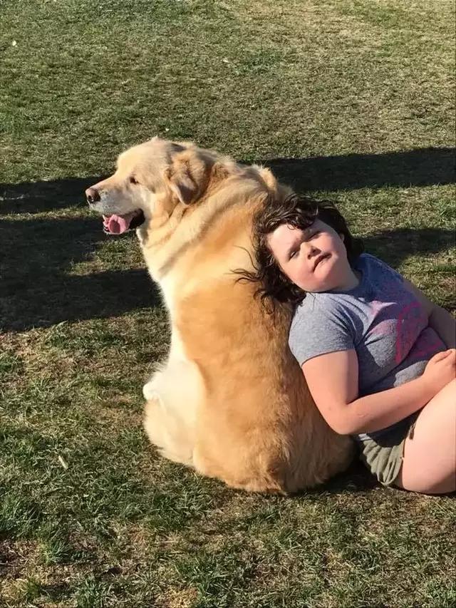 这只超重狗狗一年内减肥90斤 成为街上最靓的狗