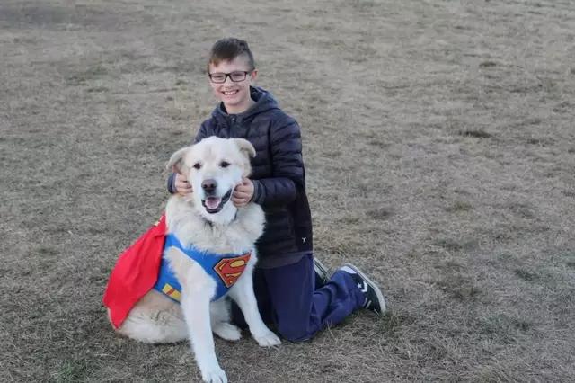 这只超重狗狗一年内减肥90斤 成为街上最靓的狗