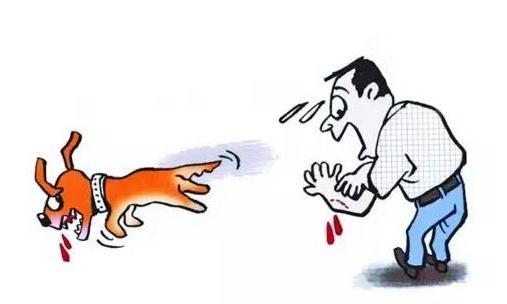 狂犬病到底是什么? 狂犬病的9大事实真相