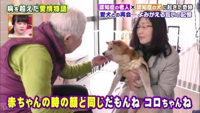 狗狗和主人都换上了老年痴呆 多年后的重逢 还会认得彼此吗?