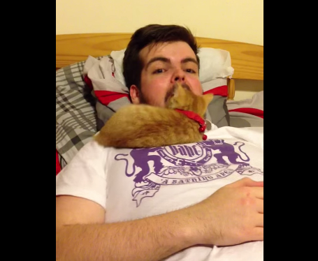 这人差点生吞了一只小猫咪 嘴开做鬼脸猫咪竟探头