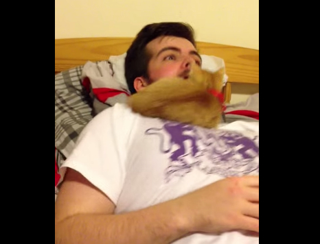 这人差点生吞了一只小猫咪 嘴开做鬼脸猫咪竟探头