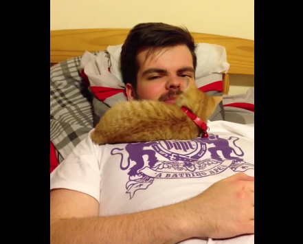 这人差点生吞了一只小猫咪 嘴开做鬼脸猫咪竟探头