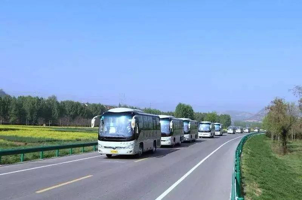 2019CPF国际宠博会火力全开!华中地区宠物行业盛会将于6月重磅开启