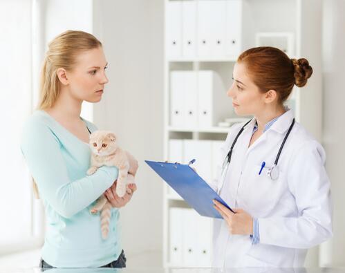 为判断和治疗猫眼部感染 这些小提示你需要知道