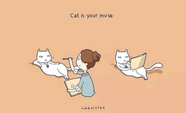 铲屎官的“快乐”你想象不到 养猫的这些好处你知道几个?