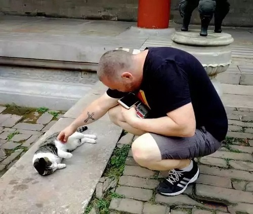 网红院长单霁翔谈故宫的猫:常收到各地寄的猫粮,整个故宫没有一只老鼠