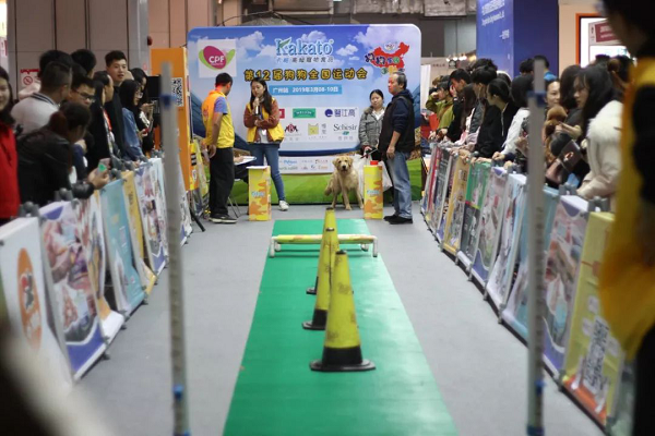 【最强攻略】年度萌宠狂欢精彩来袭~CPF武汉展海陆空萌宠齐聚，你想知道的都在这里！
