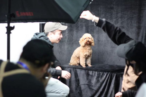 【最强攻略】年度萌宠狂欢精彩来袭~CPF武汉展海陆空萌宠齐聚，你想知道的都在这里！