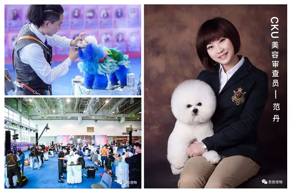 【最强攻略】年度萌宠狂欢精彩来袭~CPF武汉展海陆空萌宠齐聚，你想知道的都在这里！