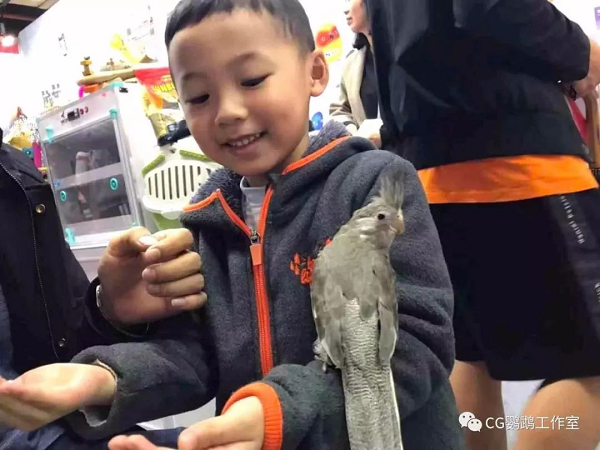 【最强攻略】年度萌宠狂欢精彩来袭~CPF武汉展海陆空萌宠齐聚，你想知道的都在这里！