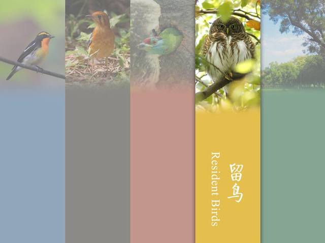 各大名校的“校宠”们 马上高考的你们有没有你心仪的学校类