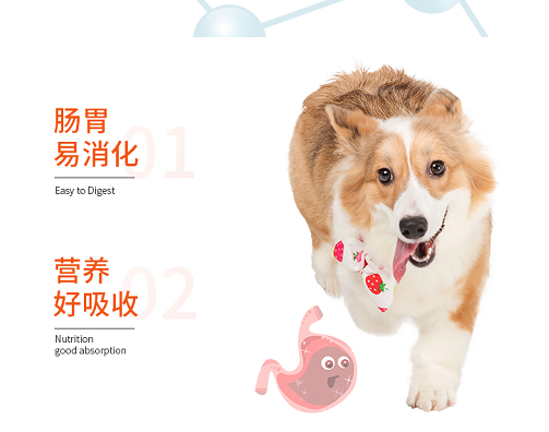 狗狗没食欲怎么办？沃格派湿粮——来点不一样的