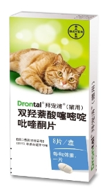 猫驱虫多久一次?保姆式猫咪驱虫指南来啦!