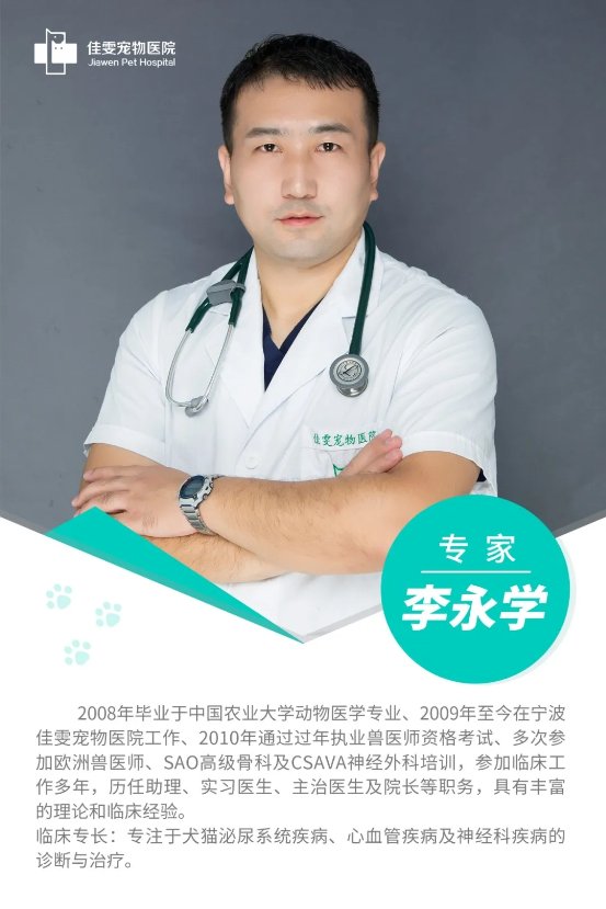 用一份初心，做一份工作——佳雯宠物医院的李永学医生