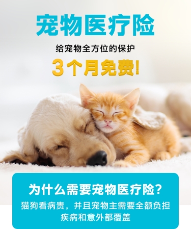 国任保险推出3个月免费宠物医疗保险，从此养宠无忧