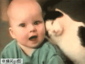 动物搞笑图片 宝宝我最爱你了