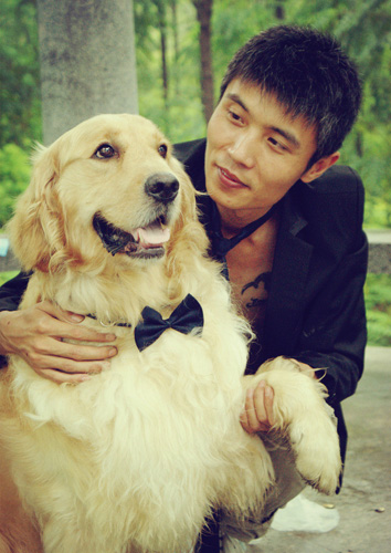 乖乖金毛的图片