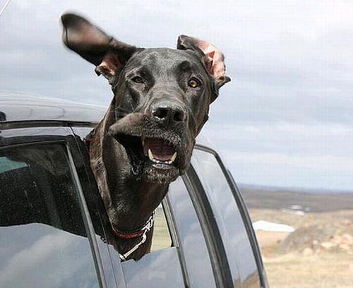 风景不错，就是风有点大。。。