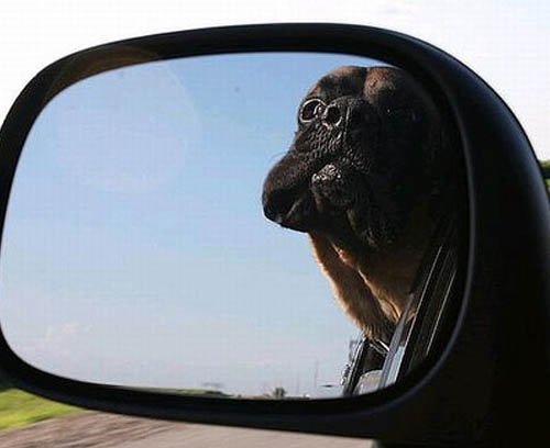 这个角度还是很帅气的。。。