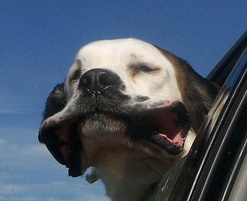 风好大。。。。