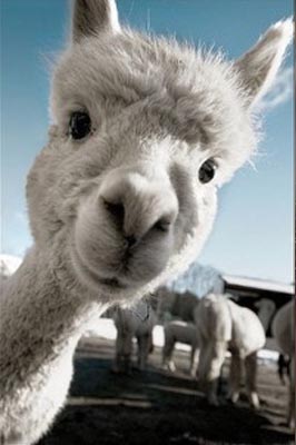 这里面是什么东东。。