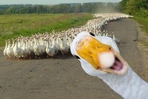 一起来合影吧。。。