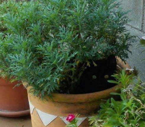 你们看不见我，看不见我