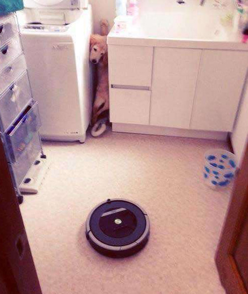 艾玛，家里来了个怪物，吓死朕了