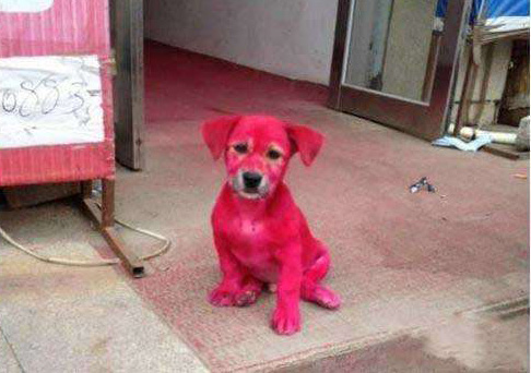 这是谁干的。。。