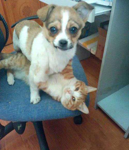 你们在干什么。。。