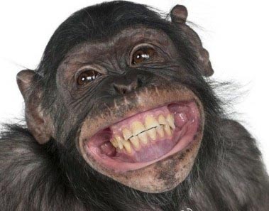 多开心呢。。。